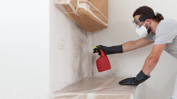Professional Bathroom Mold Removal technician working in Strasburg, CO